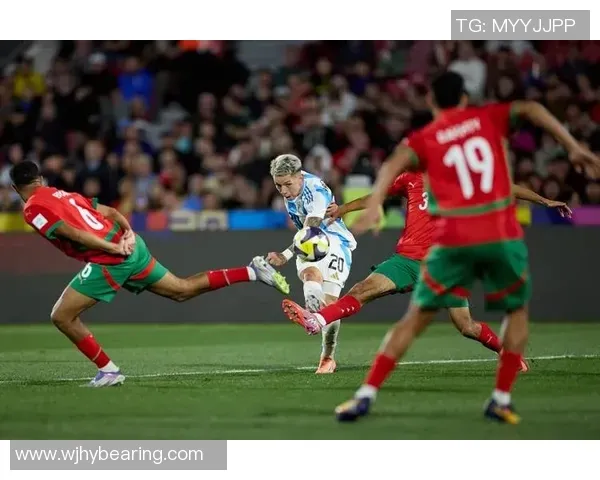 尼日利亚彩票监管委员会NLRC数字化转型