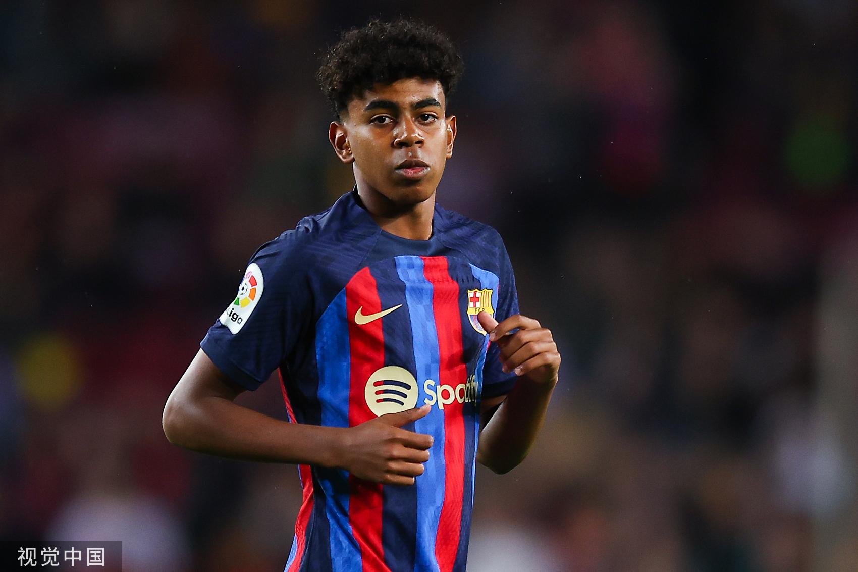 有日美双栖